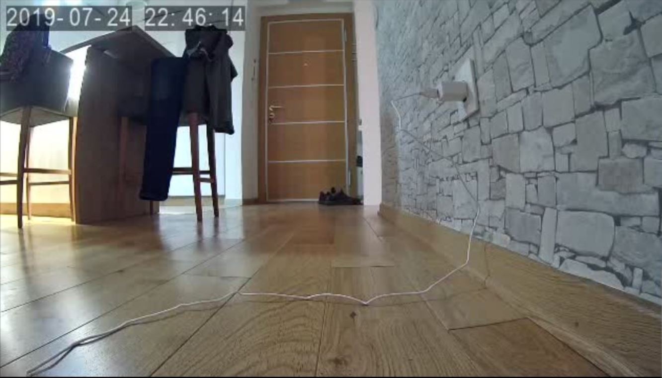 Wise pametna hranilica za kućne ljubimce - Slika 5